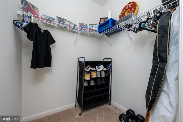 8607 Wintergreen Ct Unit 204, Odenton, MD 21113 - walk in closet with carpet flooring