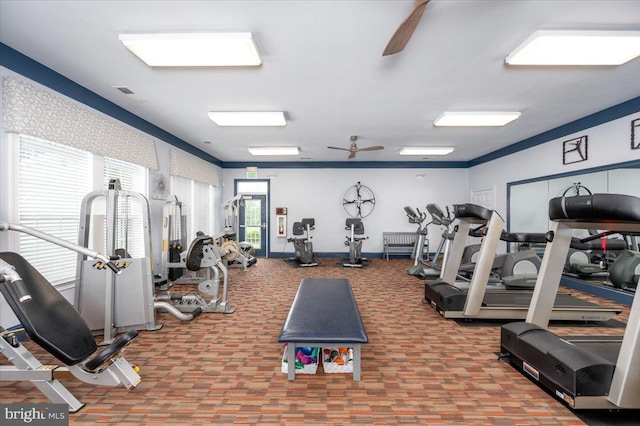 8607 Wintergreen Ct Unit 204, Odenton, MD 21113 - gym featuring a ceiling fan and carpet floors