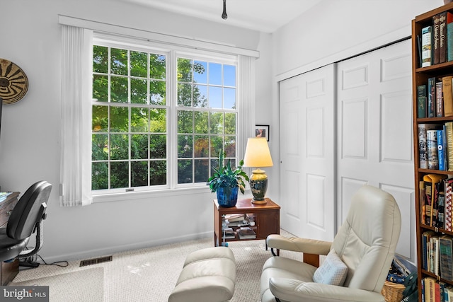 128 Rowan Ct, Manahawkin, NJ 08050 - sitting room with carpet and baseboards