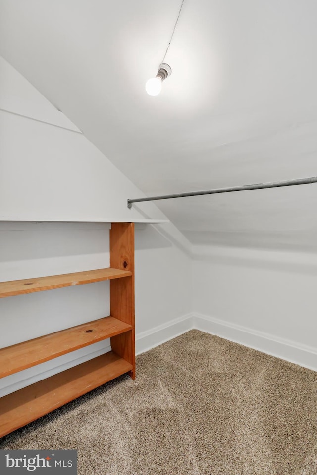1029 Pennsylvania Ave, Hagerstown, MD 21742 - spacious closet featuring carpet flooring and vaulted ceiling