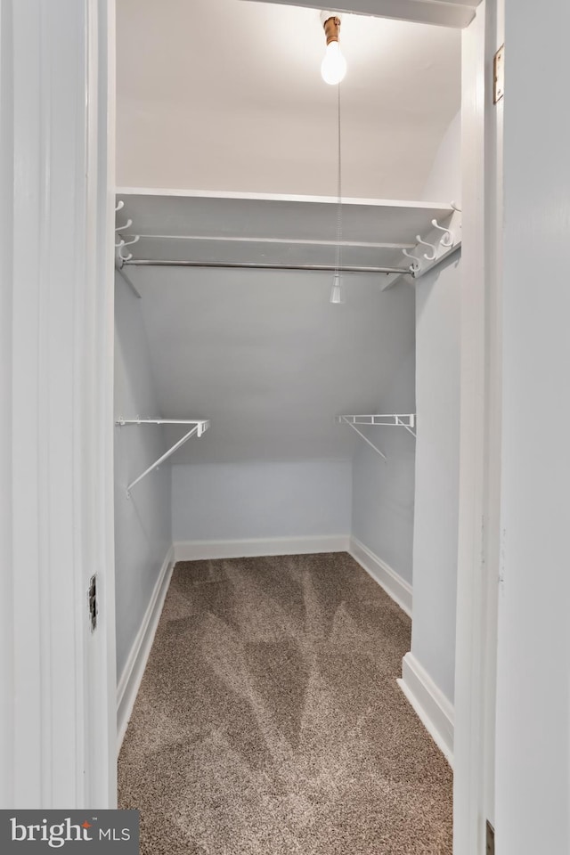 1029 Pennsylvania Ave, Hagerstown, MD 21742 - spacious closet with carpet floors