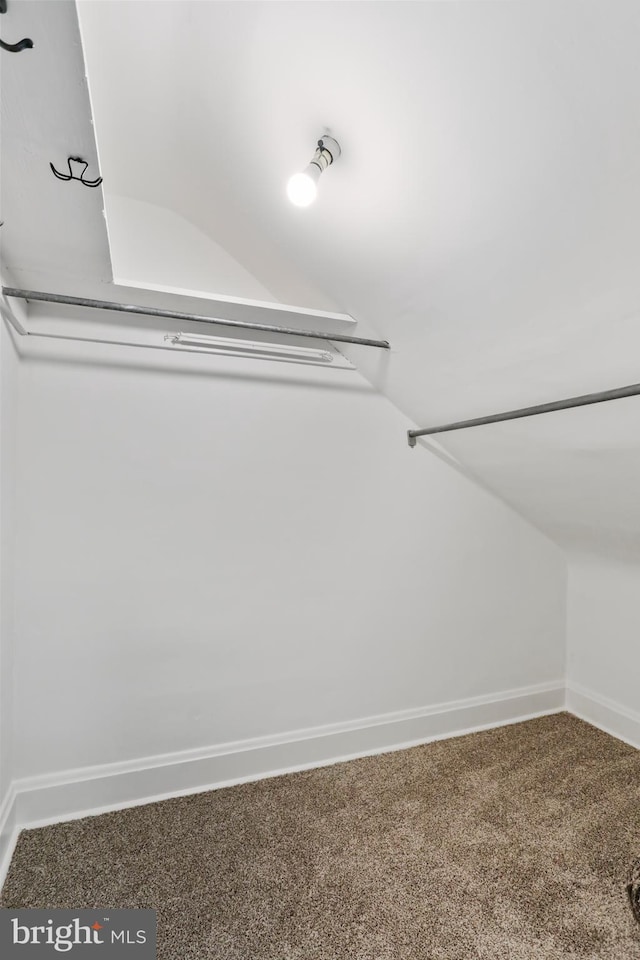 1029 Pennsylvania Ave, Hagerstown, MD 21742 - walk in closet with carpet flooring and vaulted ceiling