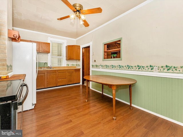 526 W Potomac St, Brunswick, MD 21716 - kitchen featuring light wood-style flooring, brown cabinetry, crown molding, ceiling fan, and light countertops