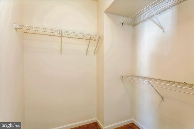 519 Long Wall Dr, Reisterstown, MD 21136 - view of walk in closet
