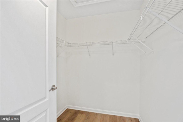 931 Oyster Bay Pl, Solomons, MD 20688 - spacious closet featuring wood finished floors