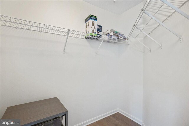 931 Oyster Bay Pl, Solomons, MD 20688 - spacious closet featuring dark wood finished floors