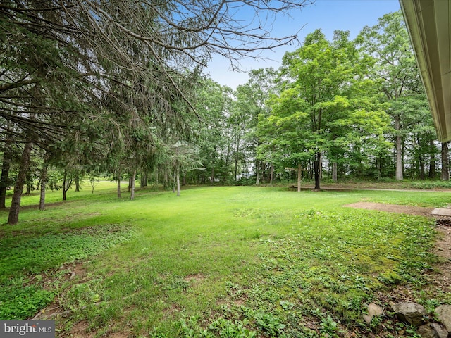 357 Crestview Mountain Rd, Augusta, WV 26704 - view of grassy yard