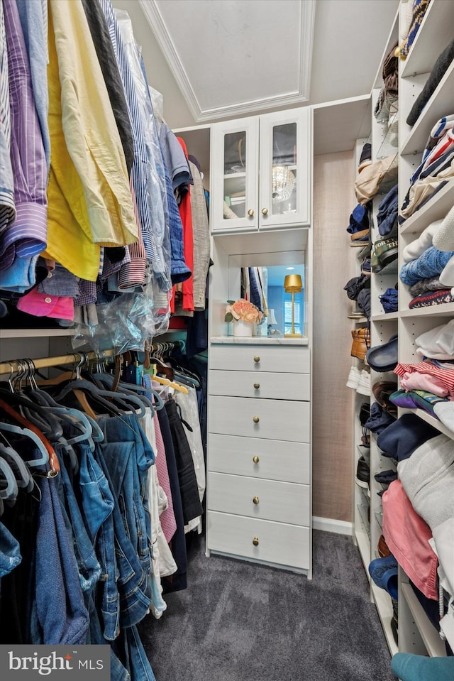 3508 Waltham Ct, Yardley, PA 19067 - walk in closet with dark carpet