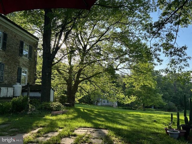 20 Constant Spring Rd, Malvern, PA 19355 - view of green lawn