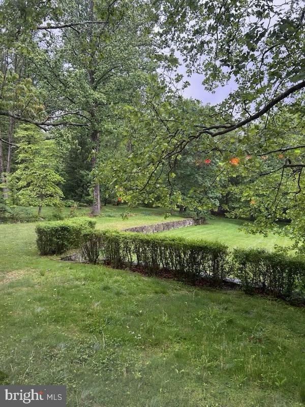 20 Constant Spring Rd, Malvern, PA 19355 - view of yard