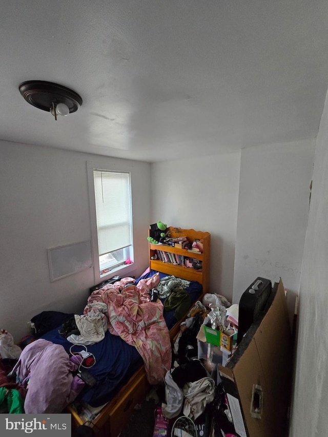 2513 W Sergeant St, Philadelphia, PA 19132 - view of bedroom