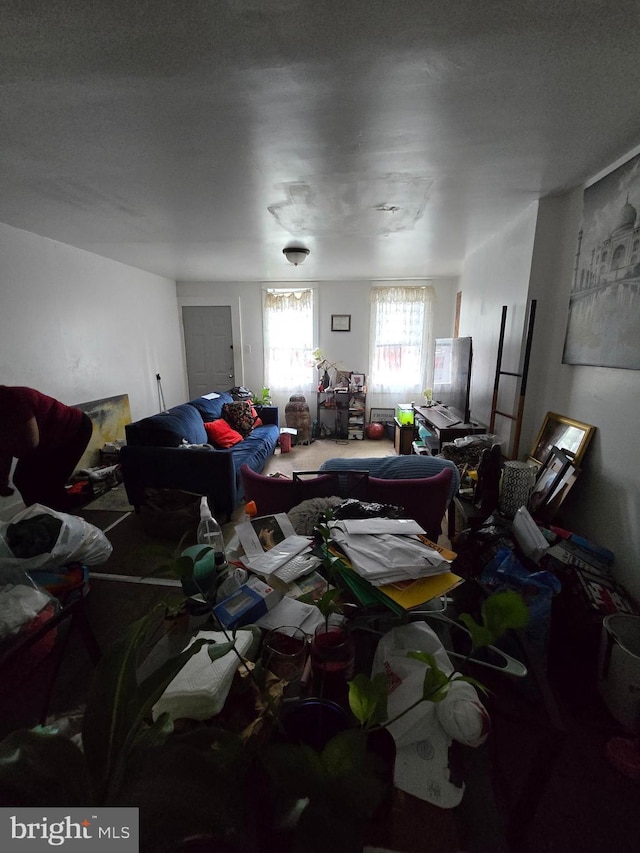 2513 W Sergeant St, Philadelphia, PA 19132 - view of living area