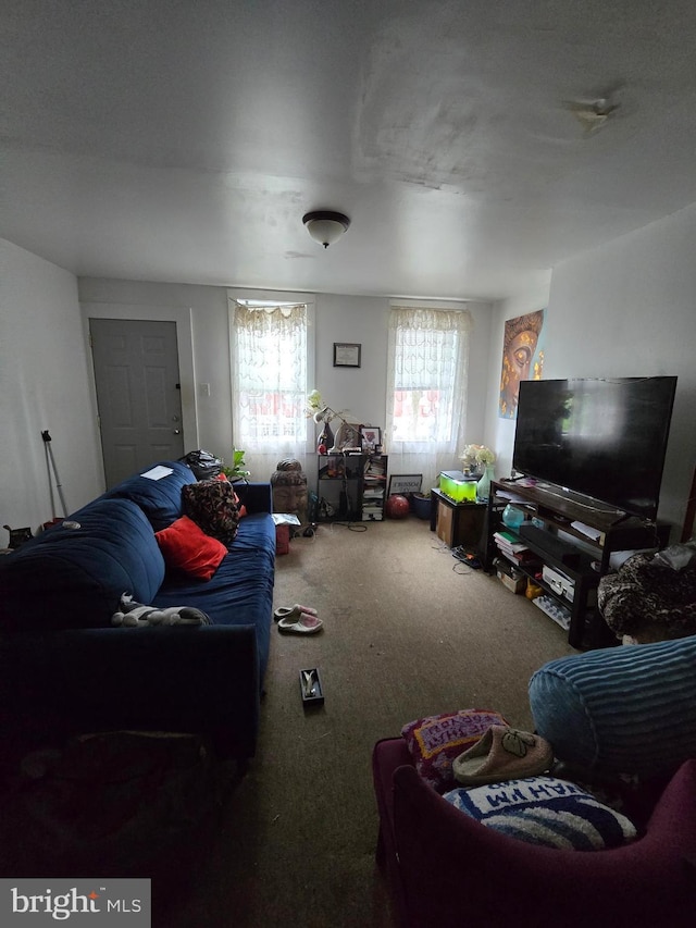 2513 W Sergeant St, Philadelphia, PA 19132 - view of carpeted living room