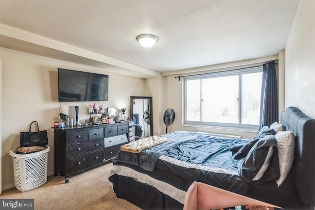 1900 Lyttonsville Rd Unit 818, Silver Spring, MD 20910 - view of carpeted bedroom