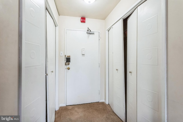 1900 Lyttonsville Rd Unit 818, Silver Spring, MD 20910 - corridor featuring light carpet