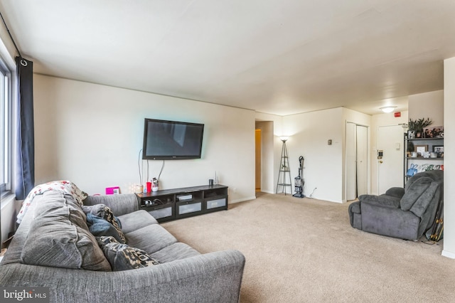 1900 Lyttonsville Rd Unit 818, Silver Spring, MD 20910 - living area with carpet flooring