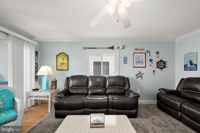 11603 Seaward Rd Unit 6, Ocean City, MD 21842 - living area featuring ornamental molding, a ceiling fan, a textured ceiling, and wood finished floors