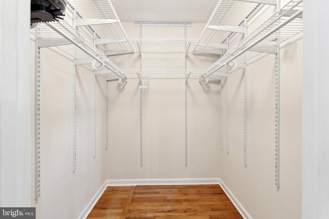 3 Lisa Ct, Elkton, MD 21921 - spacious closet featuring wood finished floors