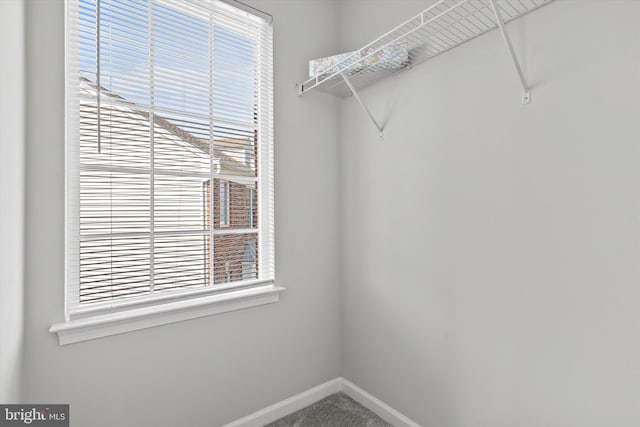 42806 Longworth Ter, Chantilly, VA 20152 - walk in closet featuring carpet flooring