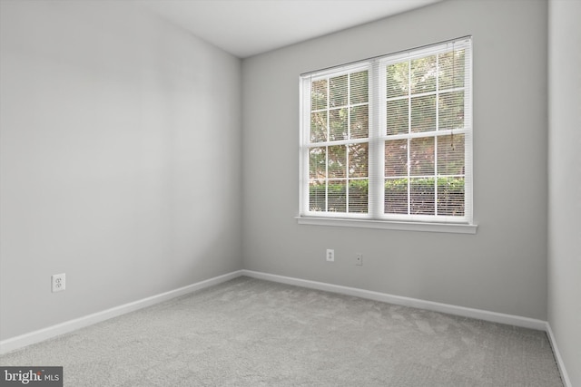 42806 Longworth Ter, Chantilly, VA 20152 - carpeted empty room featuring plenty of natural light