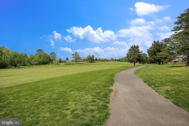 42806 Longworth Ter, Chantilly, VA 20152 - view of home's community with a yard