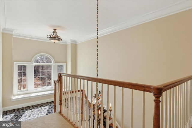 2573 Muirfield Way, Lansdale, PA 19446 - hallway with ornamental molding and baseboards