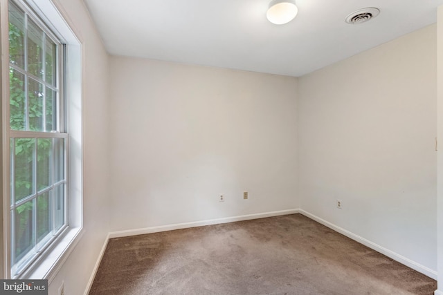 244 Marsden Heights Rd, Linden, VA 22642 - spare room featuring plenty of natural light and carpet