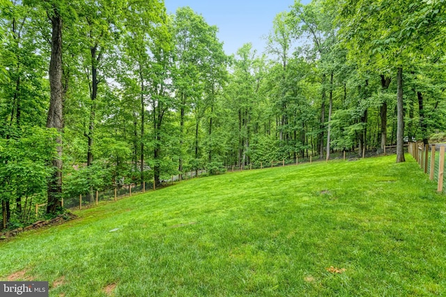 244 Marsden Heights Rd, Linden, VA 22642 - view of yard featuring a wooded view