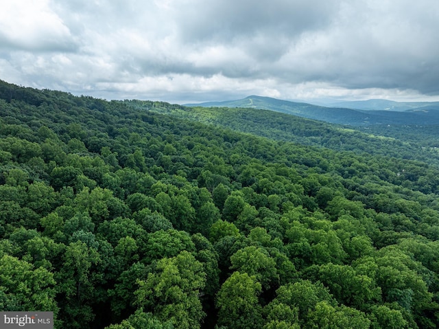 244 Marsden Heights Rd, Linden, VA 22642 - view of mountain backdrop featuring a forest
