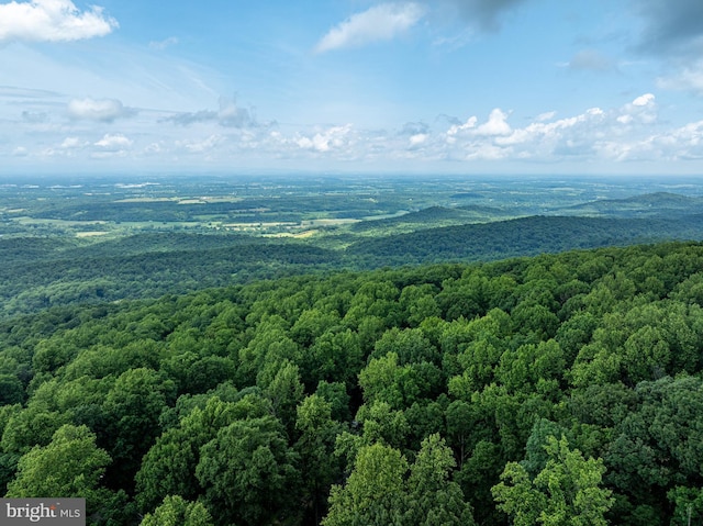 244 Marsden Heights Rd, Linden, VA 22642 - bird's eye view of a heavily wooded area