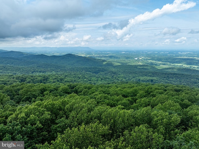 244 Marsden Heights Rd, Linden, VA 22642 - drone / aerial view of a forest and a mountainous background