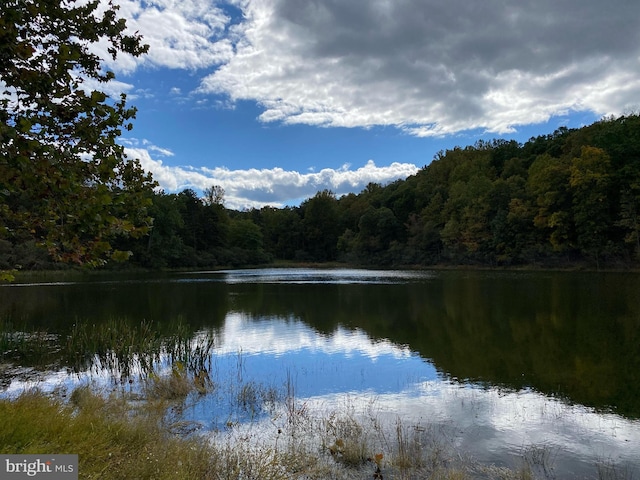 244 Marsden Heights Rd, Linden, VA 22642 - water view featuring a forest