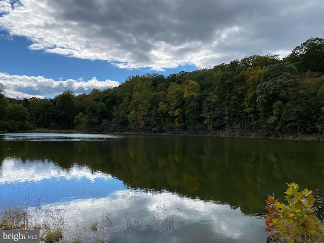244 Marsden Heights Rd, Linden, VA 22642 - water view featuring a heavily wooded area
