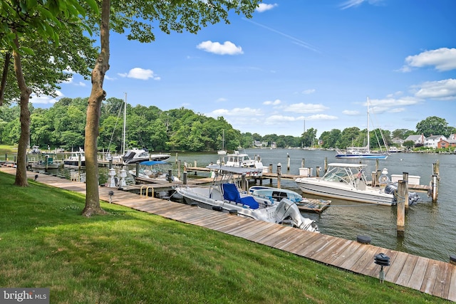 16 Spa Creek Lndg, Annapolis, MD 21403 - dock area with a water view and a yard