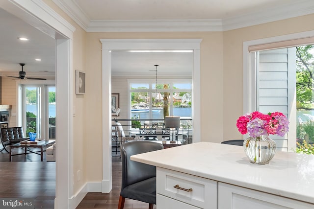 16 Spa Creek Lndg, Annapolis, MD 21403 - kitchen featuring dark wood finished floors, healthy amount of natural light, white cabinets, crown molding, and recessed lighting