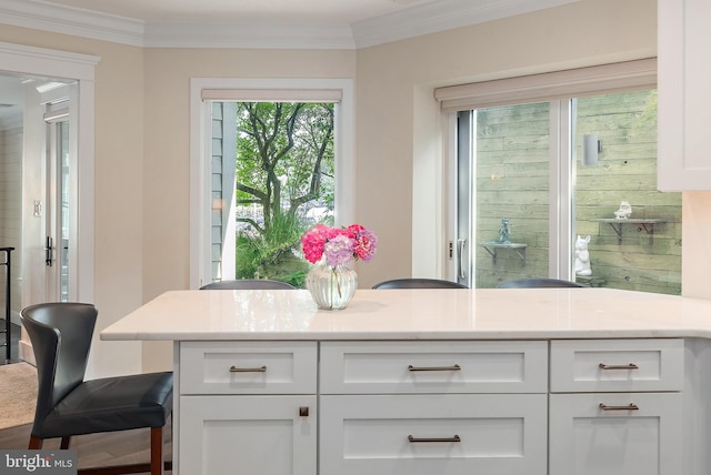 16 Spa Creek Lndg, Annapolis, MD 21403 - kitchen featuring white cabinets, ornamental molding, and a kitchen breakfast bar