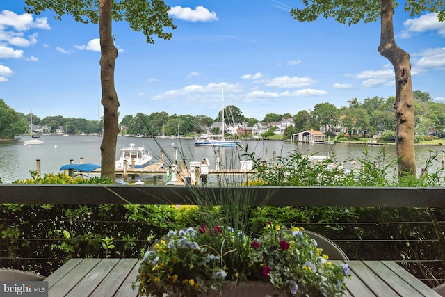 16 Spa Creek Lndg, Annapolis, MD 21403 - water view with a boat dock