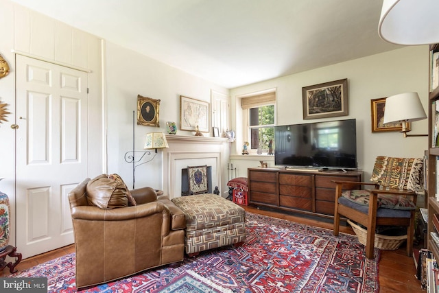 3150 Rushland Rd, Jamison, PA 18929 - living area featuring wood finished floors and a fireplace