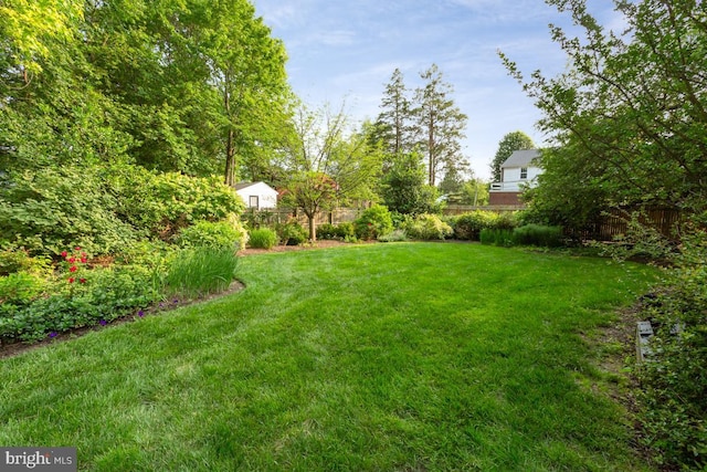 673 Ardmore Ave, Ardmore, PA 19003 - view of yard