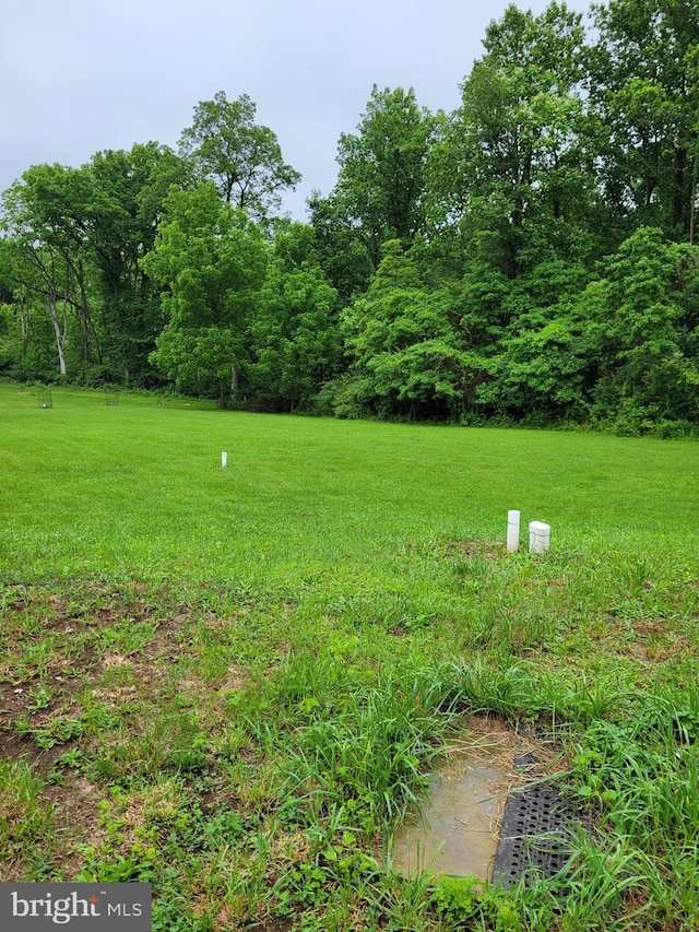 23 Shady Creek Ln, Mertztown, PA 19539 - view of green lawn
