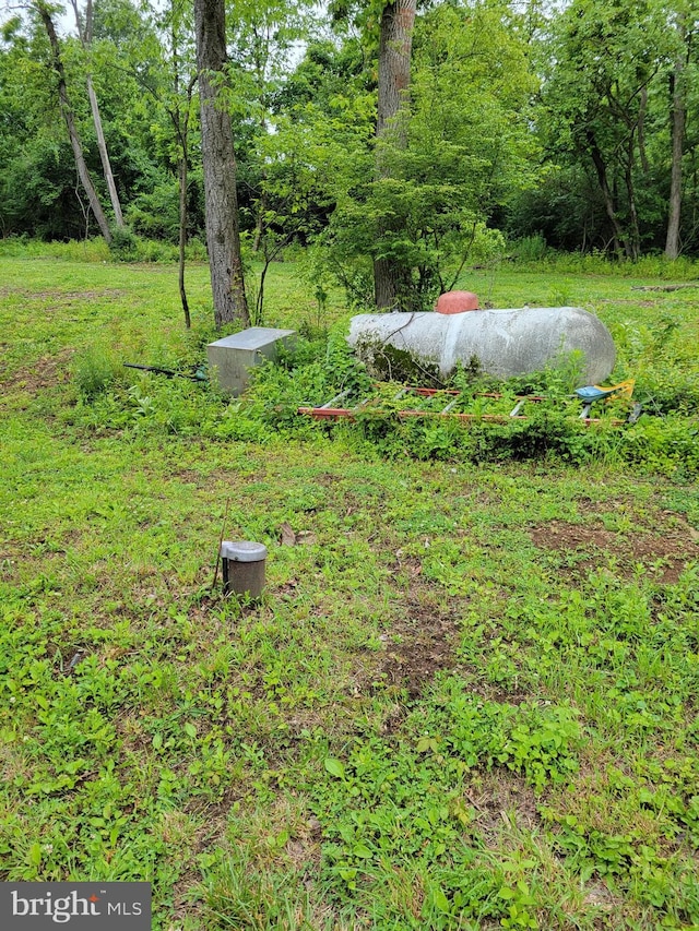 23 Shady Creek Ln, Mertztown, PA 19539 - view of yard