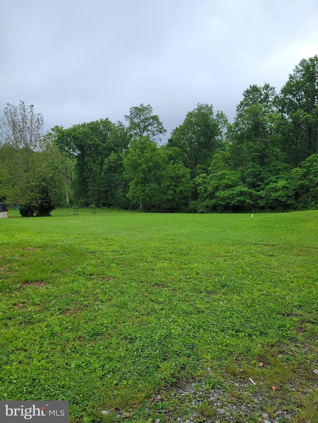 23 Shady Creek Ln, Mertztown, PA 19539 - view of grassy yard featuring a wooded view