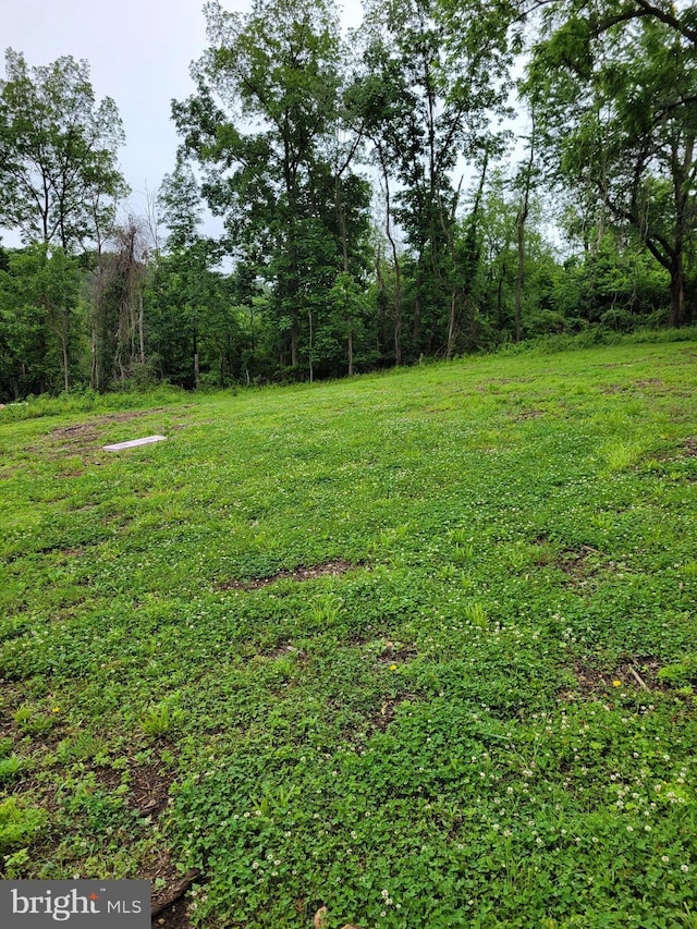23 Shady Creek Ln, Mertztown, PA 19539 - view of yard