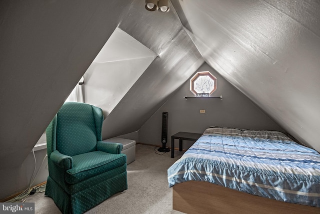 1621 E Hewson St, Philadelphia, PA 19125 - bedroom featuring carpet and lofted ceiling