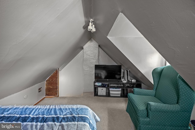 1621 E Hewson St, Philadelphia, PA 19125 - bedroom featuring carpet and lofted ceiling