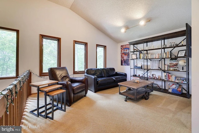 138 Banbury Dr, Bushkill, PA 18324 - living area featuring carpet floors, vaulted ceiling, and a textured ceiling