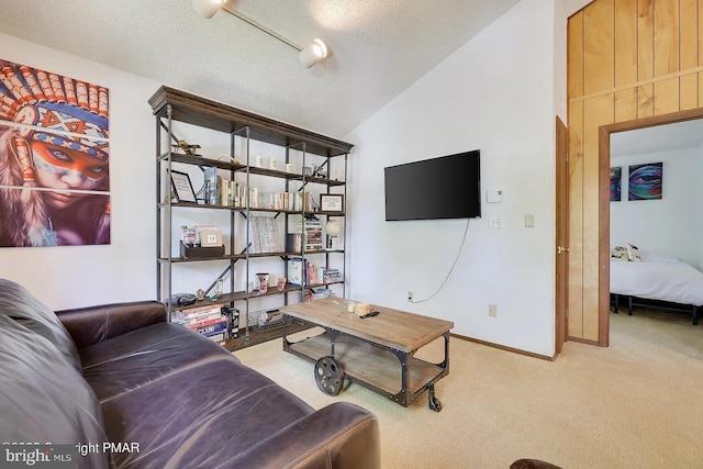 138 Banbury Dr, Bushkill, PA 18324 - carpeted living area with baseboards, vaulted ceiling, and a textured ceiling