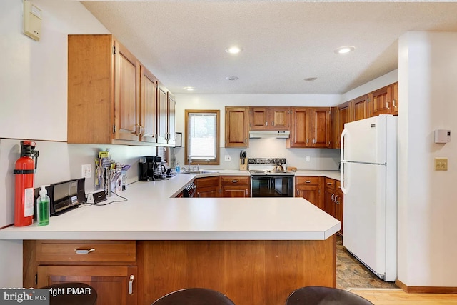 138 Banbury Dr, Bushkill, PA 18324 - kitchen featuring white appliances, under cabinet range hood, a sink, light countertops, and recessed lighting
