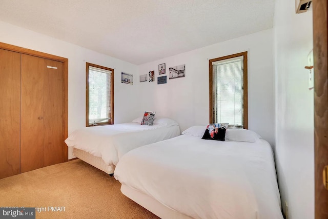 138 Banbury Dr, Bushkill, PA 18324 - carpeted bedroom featuring multiple windows