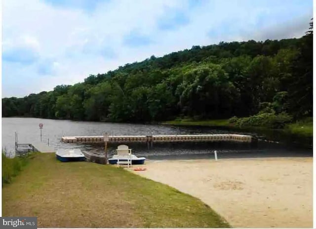 138 Banbury Dr, Bushkill, PA 18324 - dock area with a wooded view and a water view